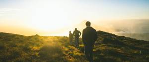 Bondi Counselling Services